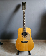 Epiphone FT-165 Bard-12 del 1970